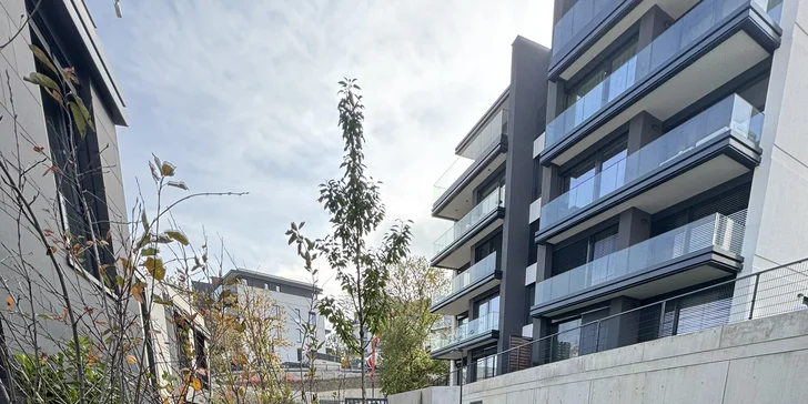 Sezónní zahradničení: praktické kurzy péče o trávník a stromy v každém ročním období