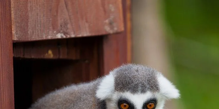 Parádní resort 13 km od Baltu: snídaně, wellness, zoo i koně, vlastní jezero, festival a mnoho dalšího