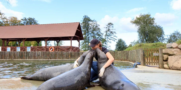 Parádní resort 13 km od Baltu: snídaně, wellness, zoo i koně, vlastní jezero, festival a mnoho dalšího