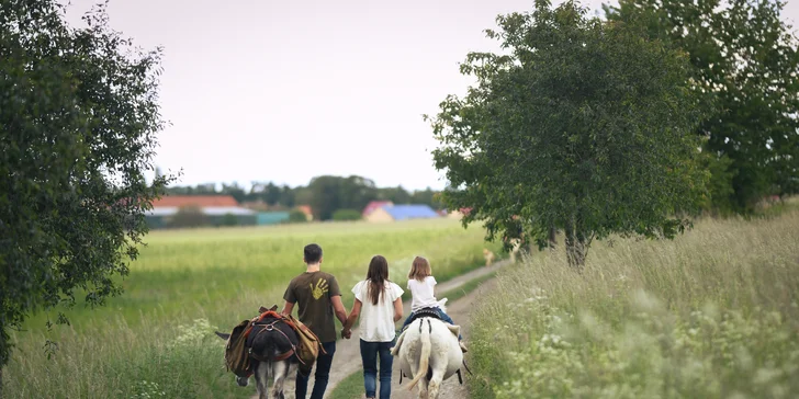 Rodinná návštěva Oslí stezky: prohlídka farmy, trail park a svezení pro děti i túra s piknikem