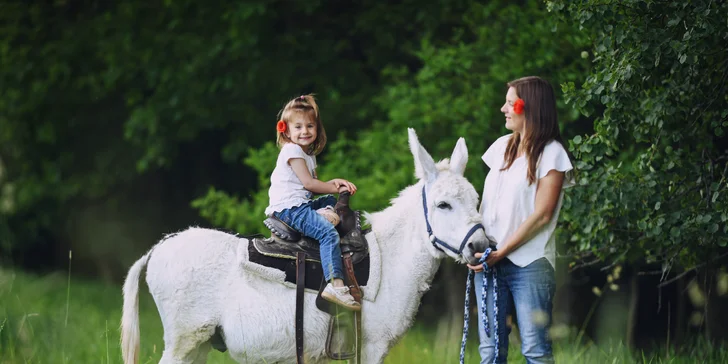 Rodinná návštěva Oslí stezky: prohlídka farmy, trail park a svezení pro děti i túra s piknikem