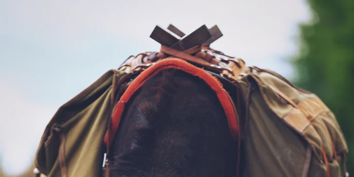 Rodinná návštěva Oslí stezky: prohlídka farmy, trail park a svezení pro děti i túra s piknikem