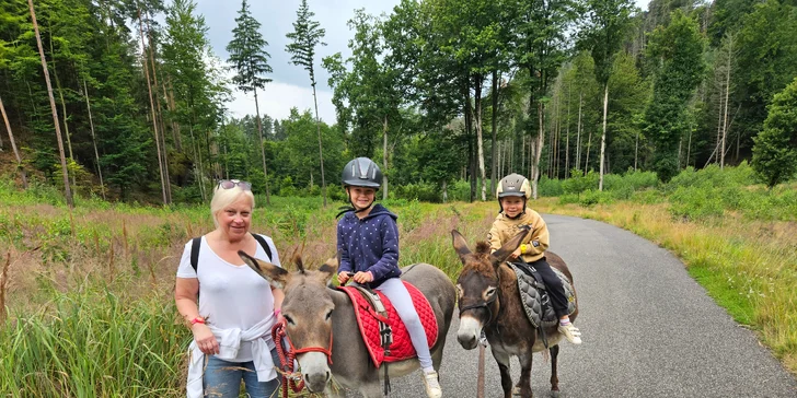 České Švýcarsko: útulný penzion se snídaní i možnost procházky s oslíky