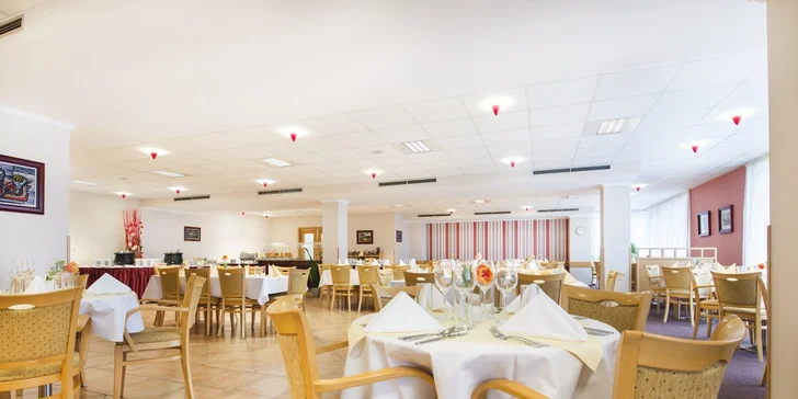 Pobyt v Posázaví: strava, veřejné i privátní wellness, plný minibar i večeře při svíčkách