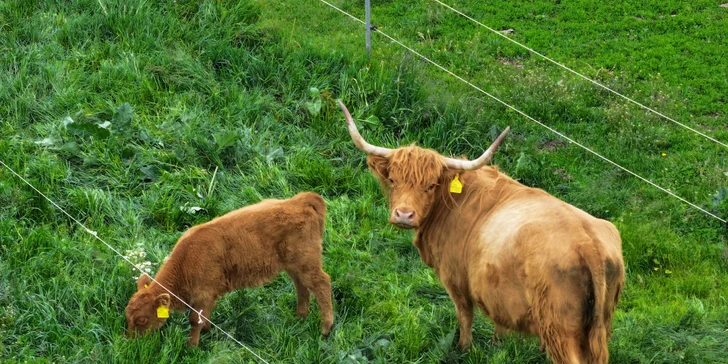 Relax kousek od Boskovic: pobyt se snídaní či polopenzí nebo i pivní lázní