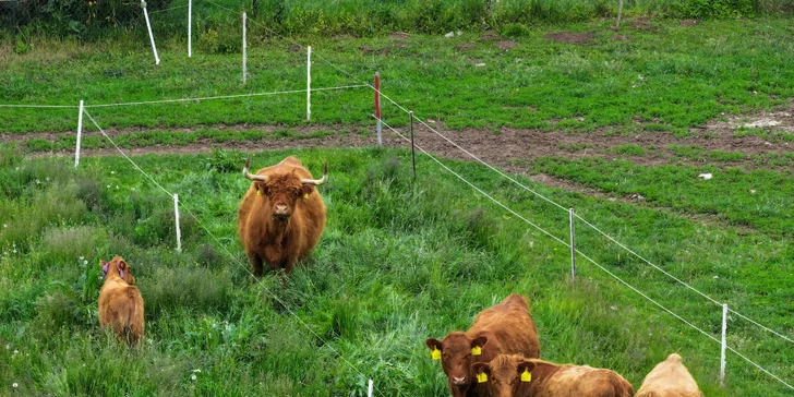 Relax kousek od Boskovic: pobyt se snídaní či polopenzí nebo i pivní lázní