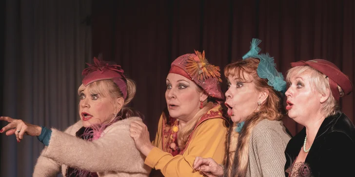 Vstupenka na představení Nejstarší řemeslo ve Strašnickém divadle