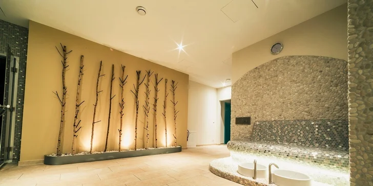 Elegantní 4* hotel v centru lázeňského města Trenčianske Teplice, procedury i strava