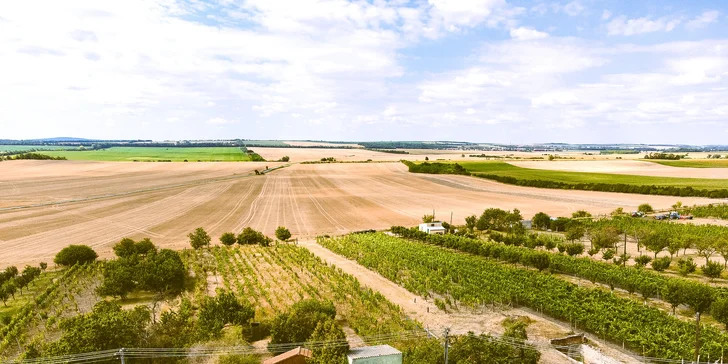 Úniková hra Vinařův poklad s posezením na Znojemsku pro 2–6 osob