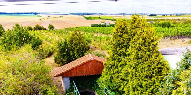 Úniková hra Vinařův poklad s posezením na Znojemsku pro 2–6 osob