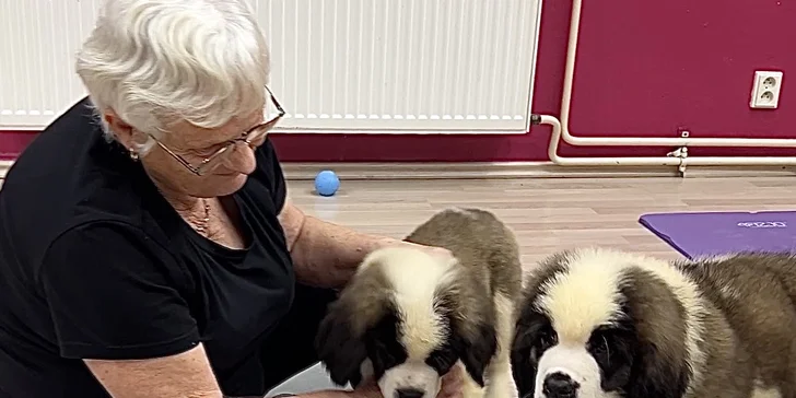 Jóga, smích a štěňátka – zážitek, který si zamilujete