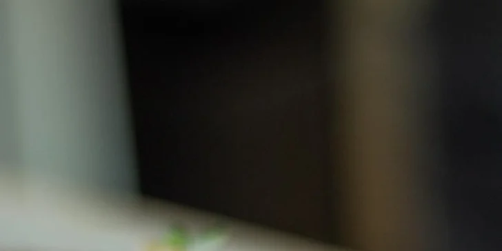 Udělejte radost kávou a dobrotami: dárkový poukaz do kavárny Kakabu café v hodnotě 250 či 500 Kč