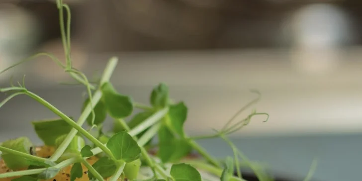 Udělejte radost kávou a dobrotami: dárkový poukaz do kavárny Kakabu café v hodnotě 250 či 500 Kč