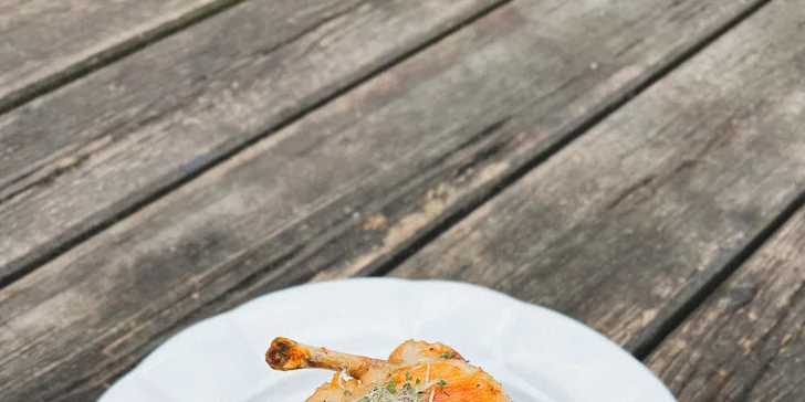 Dovolená v Posázaví: rodinný penzion se snídaní, výhled na hrad Ledeč