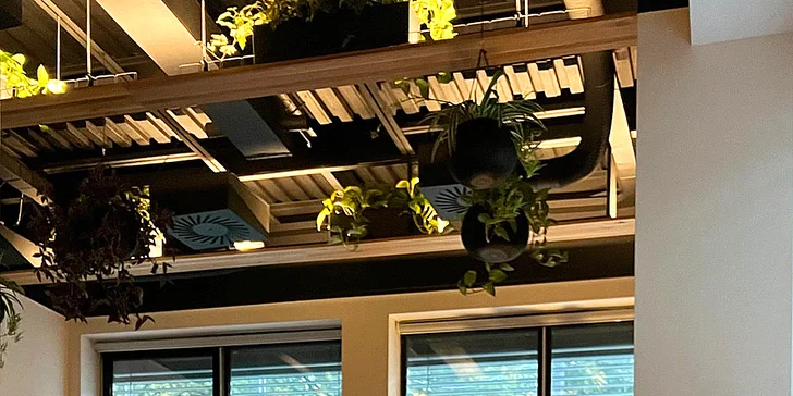 Zpomalení, uvolnění a správné dýchání: lekce jógy pro uvolnění stresu, 1 až 10 lekcí