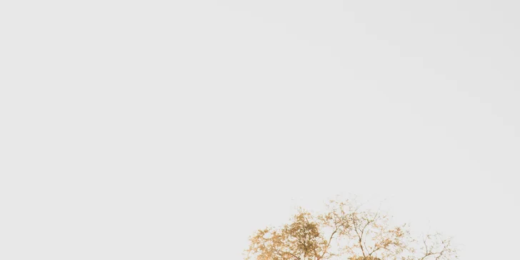 Streetfood menu v parku na Vítkově pro 2 osoby: burger, křídla, quesadilla i qurrito