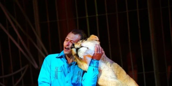 250 Kč za vstupenku na mezinárodní soutěžní festival Cirkus Cirkus. Velkolepá show a skvělá zábava se slevou 44 %.