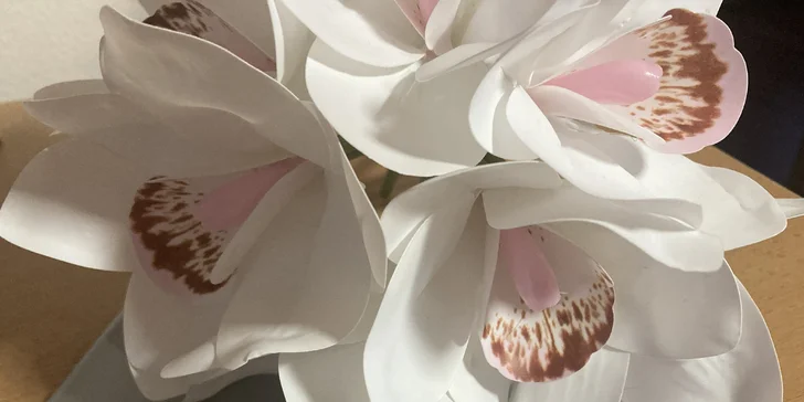 Kompletní kosmetické ošetření pro suchou, aknózní či zralou pleť