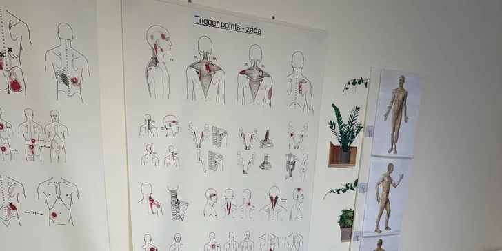 Intenzivní zážitek na rozproudění energie: mongolská masáž síly na 50 minut