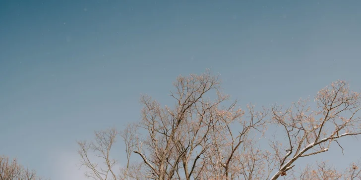 Pobyt v domečku v korunách stromů v srdci oravské přírody pro 2 až 4 osoby