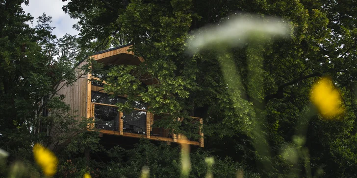 Pobyt v domečku v korunách stromů v srdci oravské přírody pro 2 až 4 osoby