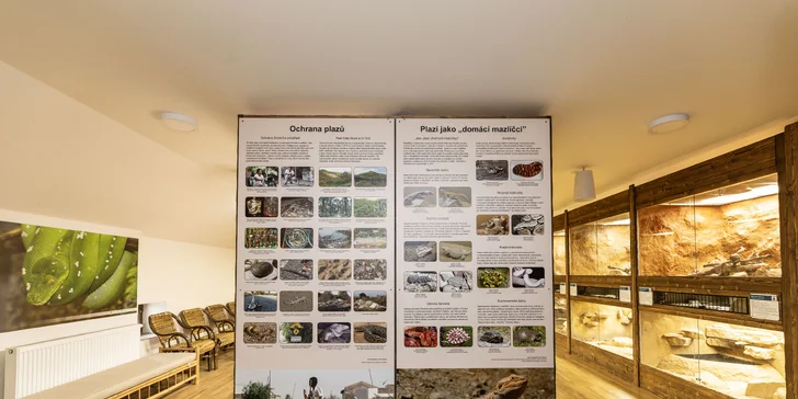 Hadi, ještěři i pavouci: vstupenky do Světa plazů pro děti, dospělé i studenty