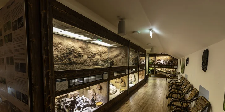 Hadi, ještěři i pavouci: vstupenky do Světa plazů pro děti, dospělé i studenty