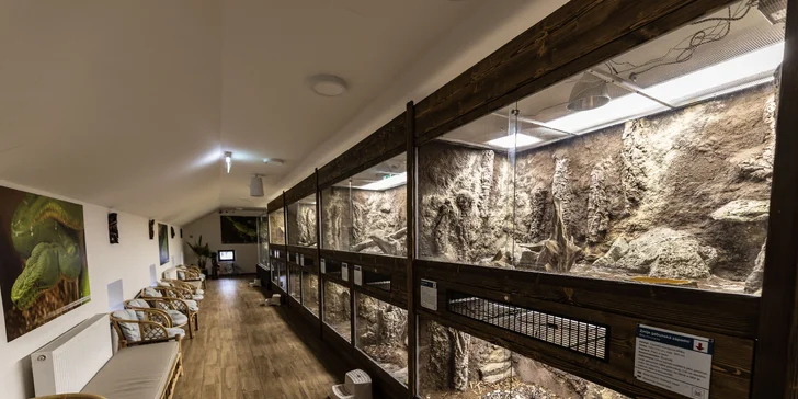 Hadi, ještěři i pavouci: vstupenky do Světa plazů pro děti, dospělé i studenty