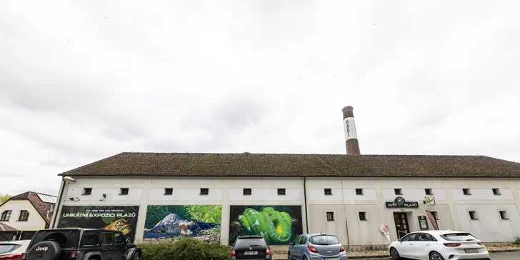 Hadi, ještěři i pavouci: vstupenky do Světa plazů pro děti, dospělé i studenty