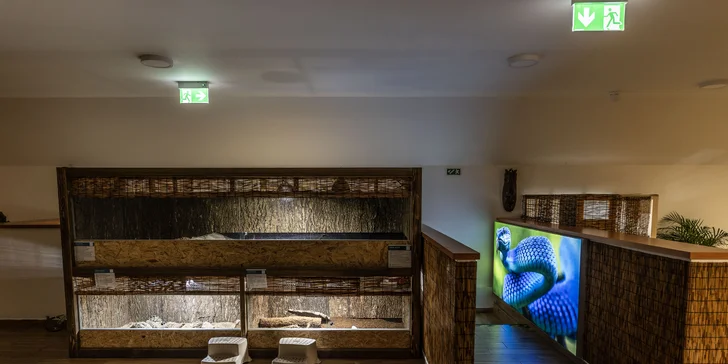 Hadi, ještěři i pavouci: vstupenky do Světa plazů pro děti, dospělé i studenty