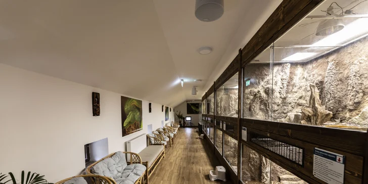 Hadi, ještěři i pavouci: vstupenky do Světa plazů pro děti, dospělé i studenty