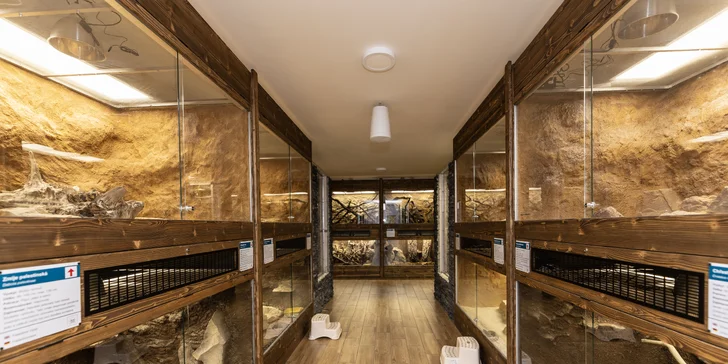 Hadi, ještěři i pavouci: vstupenky do Světa plazů pro děti, dospělé i studenty