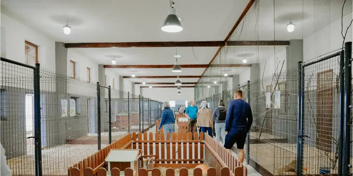 Pobyt v resortu Masarykov dvor na Podpoľaní: strava i wellness a slevy na atrakce