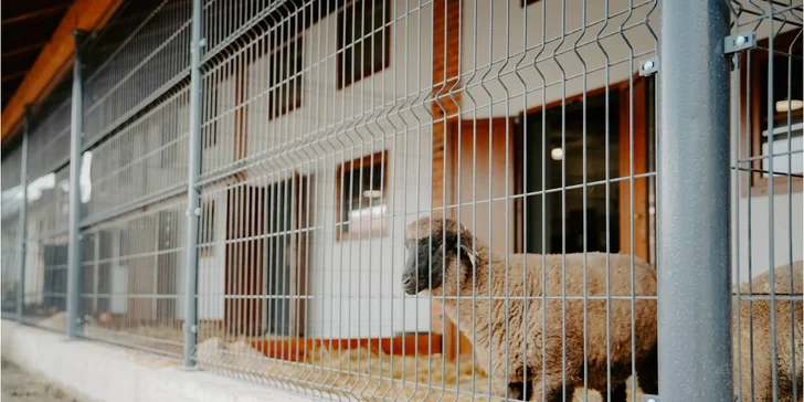 Pobyt v resortu Masarykov dvor na Podpoľaní: strava i wellness a slevy na atrakce