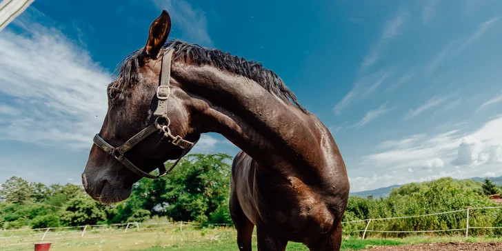 Pobyt v resortu Masarykov dvor na Podpoľaní: strava i wellness a slevy na atrakce