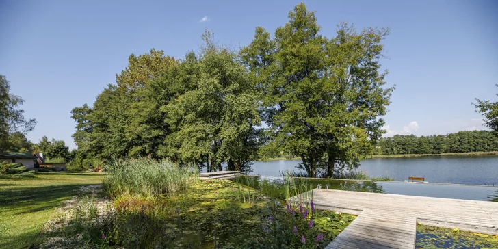 Útulné chatky u rybníka na úpatí Orlických hor pro pár i rodinu: jídlo, sauny a biotop