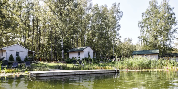 Útulné chatky u rybníka na úpatí Orlických hor pro pár i rodinu: jídlo, sauny a biotop