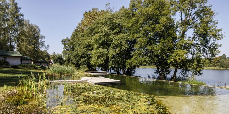 Útulné chatky u rybníka na úpatí Orlických hor pro pár i rodinu: jídlo, sauny a biotop