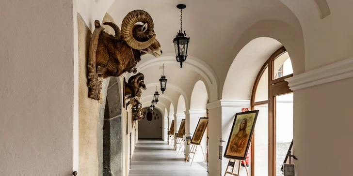 Královský pobyt na zámku s prohlídkou: jedinečný wellness, polopenze a 2 noblesní restaurace s luxusním barem