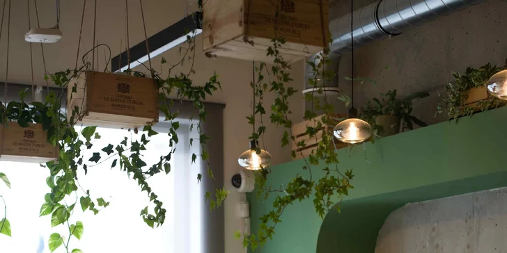 Kreativní workshop: vytvořte si vlastní mechárium a přineste si kousek přírody domů