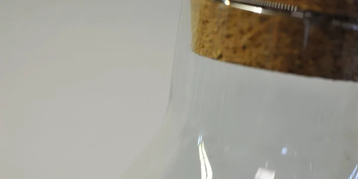 Kreativní workshop: vytvořte si vlastní mechárium a přineste si kousek přírody domů