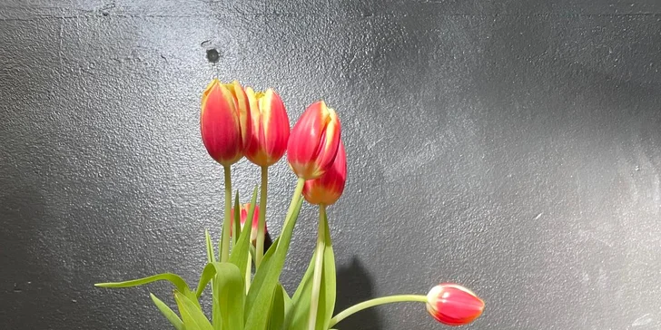 Dezert dle výběru a limonáda nebo káva v kavárně se solnou jeskyní