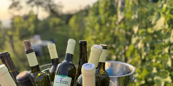 Zážitková večeře uprostřed vinice s degustací, lahví vína a prohlídkou pro dva