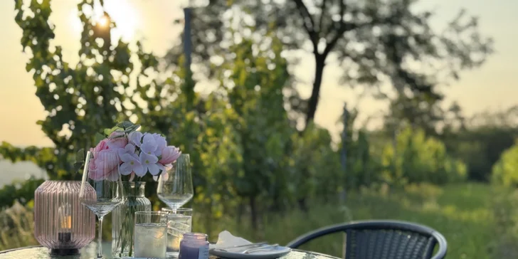 Degustace vín a romantický piknik ve vinici na jižní Moravě pro 2 osoby