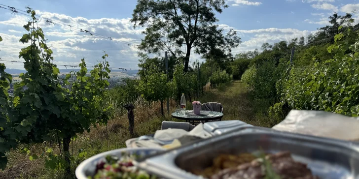 Zážitková večeře uprostřed vinice s degustací, lahví vína a prohlídkou pro dva