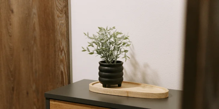 Apartmán v Jeseníkách: vlastní vířivka, masážní křeslo i možnost luxusní snídaně