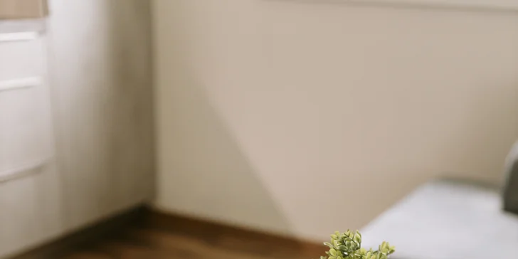 Apartmán v Jeseníkách: vlastní vířivka, masážní křeslo i možnost luxusní snídaně