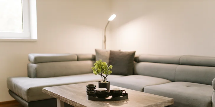 Apartmán v Jeseníkách: vlastní vířivka, masážní křeslo i možnost luxusní snídaně