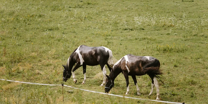 Apartmán v Jeseníkách: vlastní vířivka, masážní křeslo i možnost luxusní snídaně
