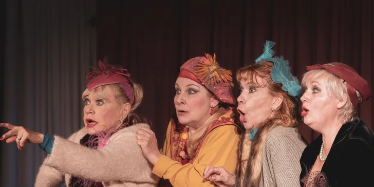 Vstupenka na představení Nejstarší řemeslo ve Strašnickém divadle